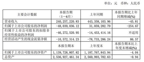 技術(shù)轉(zhuǎn)讓未能扭轉(zhuǎn)頹勢，空港股份2023上半年由盈轉(zhuǎn)虧凈損4804萬